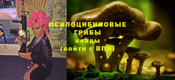 2c-b Гусев