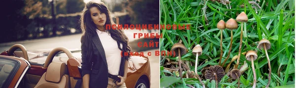 молекула духа Гусь-Хрустальный