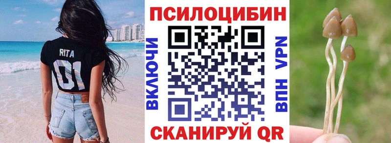 Галлюциногенные грибы Psilocybine cubensis Купить где Усмань
